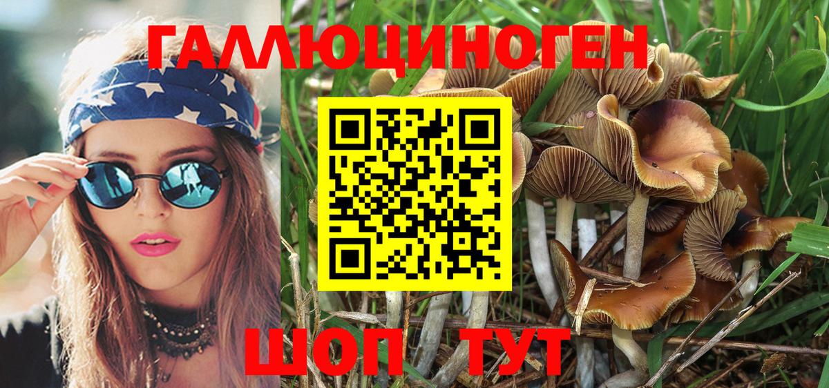 Солнечногорск  Псилоцибиновые грибы MAGIC MUSHROOMS  Псилоцибиновые грибы Psilocybine cubensis  Вход с VPN 