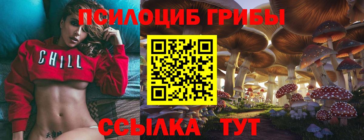 Псилоцибиновые грибы GOLDEN TEACHER Солнечногорск