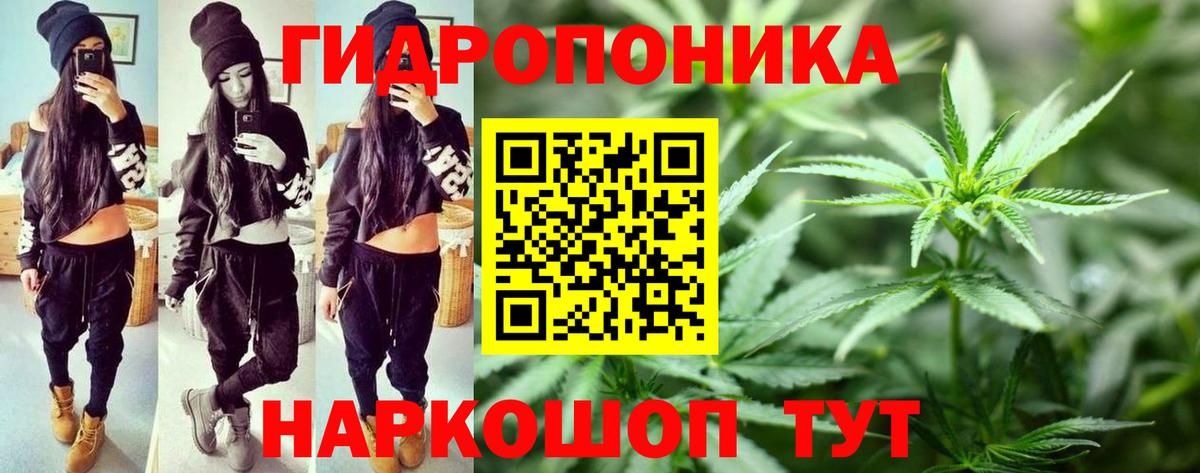 Бошки Шишки Amnesia  Вход с VPN  Солнечногорск  Марихуана SATIVA & INDICA  Шишки марихуана AK-47 